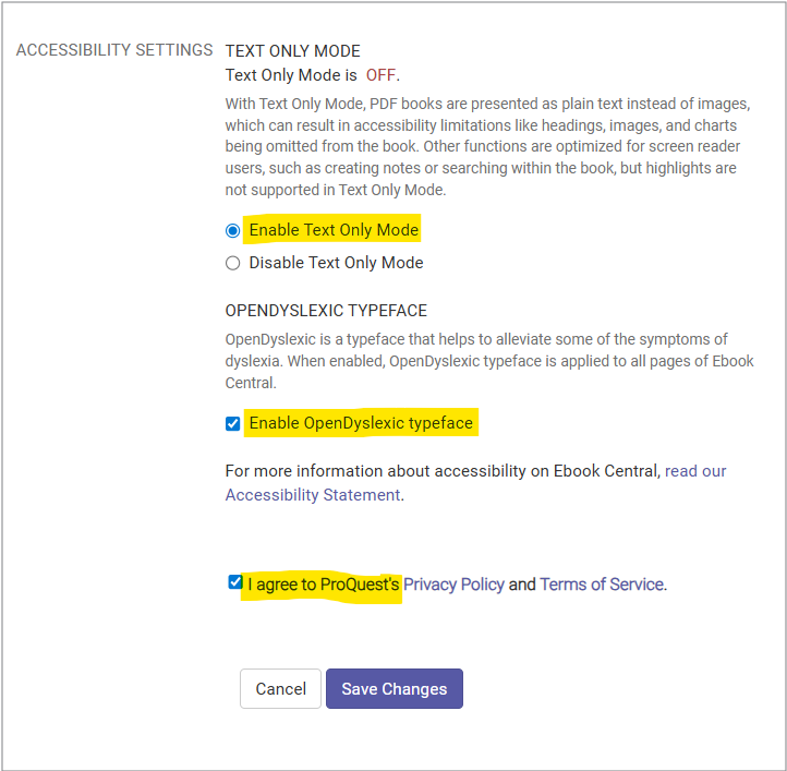 Accessibility page in ebook with text only mode, dyslexic typeface enabled
